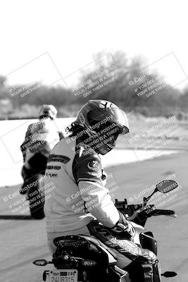 media/Apr-10-2022-SoCal Trackdays (Sun) [[f104b12566]]/Around the Pits/